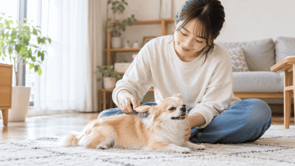 飼い主さんが愛犬をやさしくブラッシングしているところ